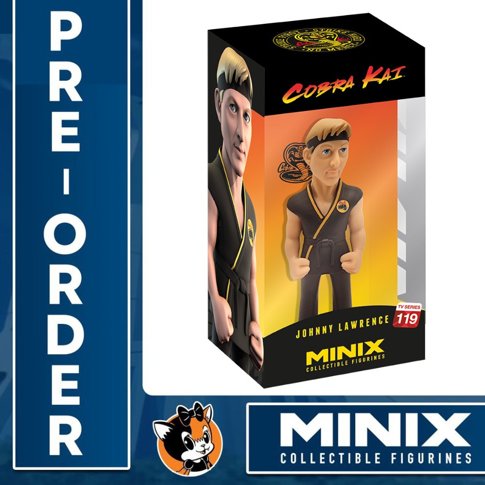 Minix TV Series - Cobra Kai - Johnny Lawrence 119