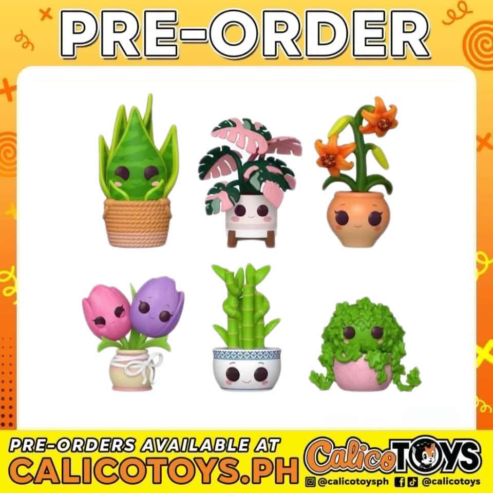 PRE ORDER - Pop Mystery - Flora