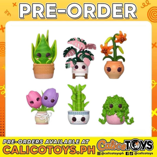 PRE ORDER - Pop Mystery - Flora